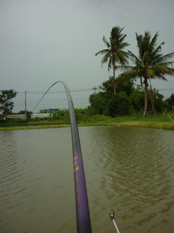 บางขุนเทียนจริงๆ ชายทะเลเลย ดูคลื่นลมสิครับ