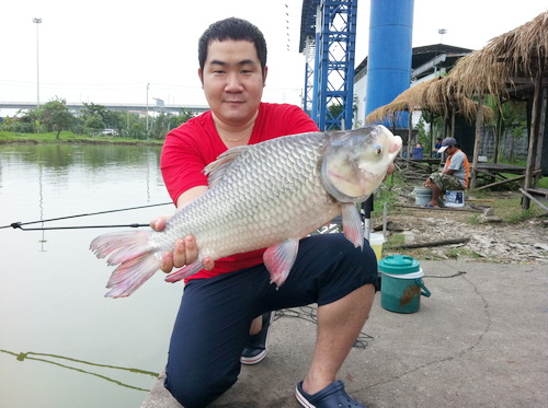 ลากันด้วยภาพสุดท้ายผลงานของผมเองครับ กับ ปลากะโห้ในฝันที่อยากได้มานาน 
ปล.หัดตั้งกระทู้เป็นครั้งเเร