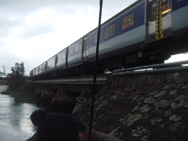 

มีรถไฟผ่านมา  เสียงดังจริงๆ  :cool: