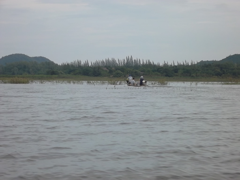 นี้ก็เรือ ลำของน้าเอ กำลังหาลูกคอก ระหว่างกลับ  :love: :love: :love: :love: :love: :love: :love: