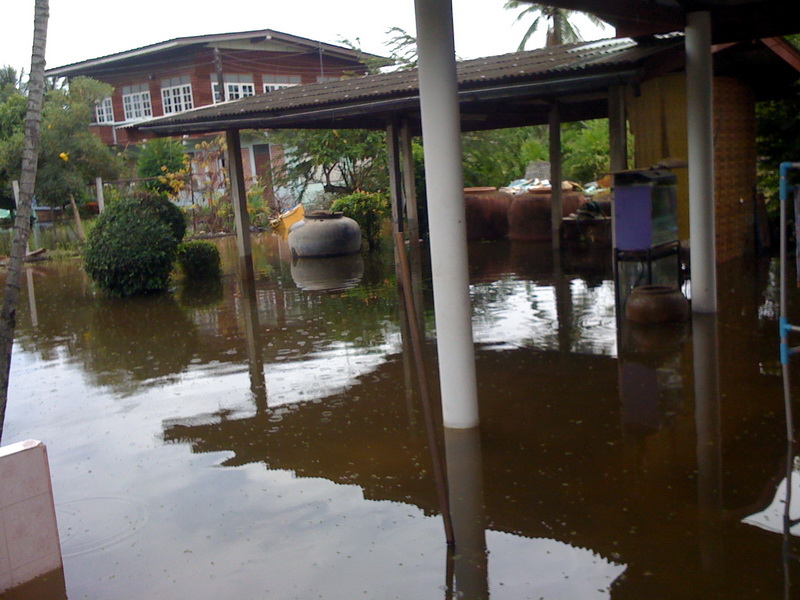 สักพัก ฝนตกอีกแล้วครับ พักก่อน ๆ เด่วเย๊นๆไปตีใหม่  :grin: