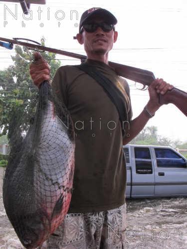 คนกรุงแห่ตกปลาริมคลองประปาช่วงน้ำท่วม 