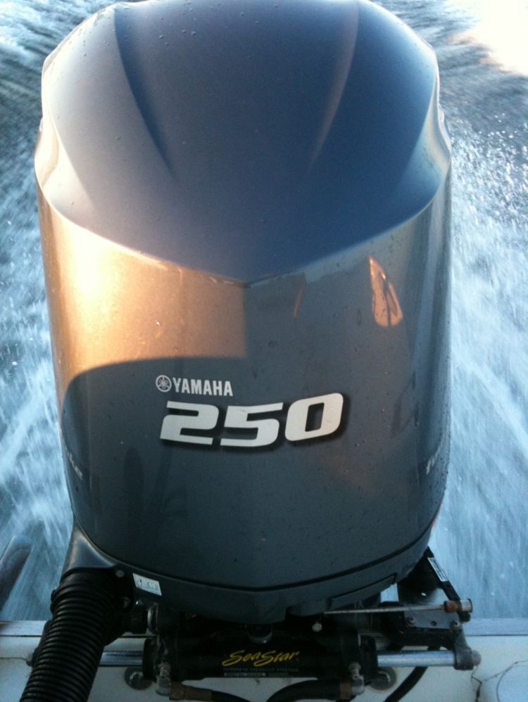 เอาไปก่อนนะครับเดี๋ยวจะมาต่อกันคืนนี้

ดูเครื่องสิครับในฝันเลย yamaha 250HP 4 stroke 