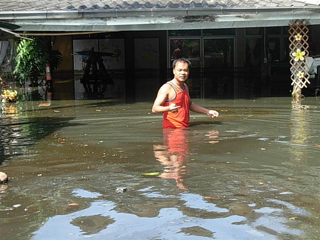 สวัสดีครับน้านะ ดูสภาพบ้านผมดิ หมดอารมณ์ทางเพศ เอ้ยยย..หมดอารมณ์ออกไปตกปลาเลย น้ำเน่า ปลาเน่าลอยเต็ม