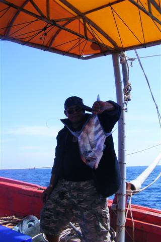 อีกด้านนึ่งของเรือป๋าเสริฐก็สอยขึ้นมาอีกหน่วยแระ ป๋าท่านนี้ถนัดแนวปลาจานเหลือเกิน :laughing: :laughi