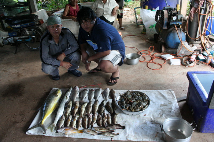 

                                    นายแบบ  "โดม่อน"