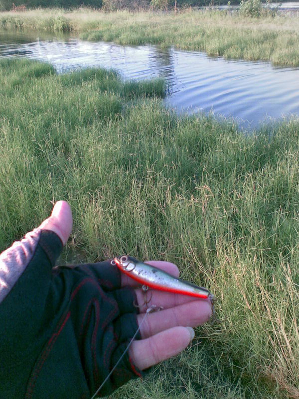 ตีตั้งนานตั้งแต่เช้าเพิ่งได้ยินเสียงปลากัดอยู่ริมๆหญ้าบ่อด้านซ้าย :umh:
จัดลูกหมาน้อยไปเดินเล่นหน่อ