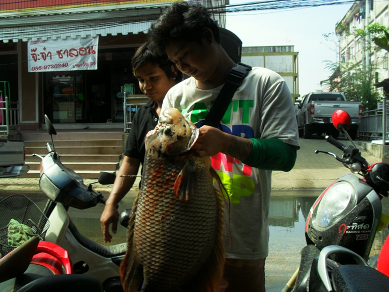   ลําบากอีกแล้วกรู...มรึงไปยิงมรันมาทํามัยอีก...อ้ายก๊อบบบบ


[q][i]อ้างถึง: เด็กพระบาง posted: 0