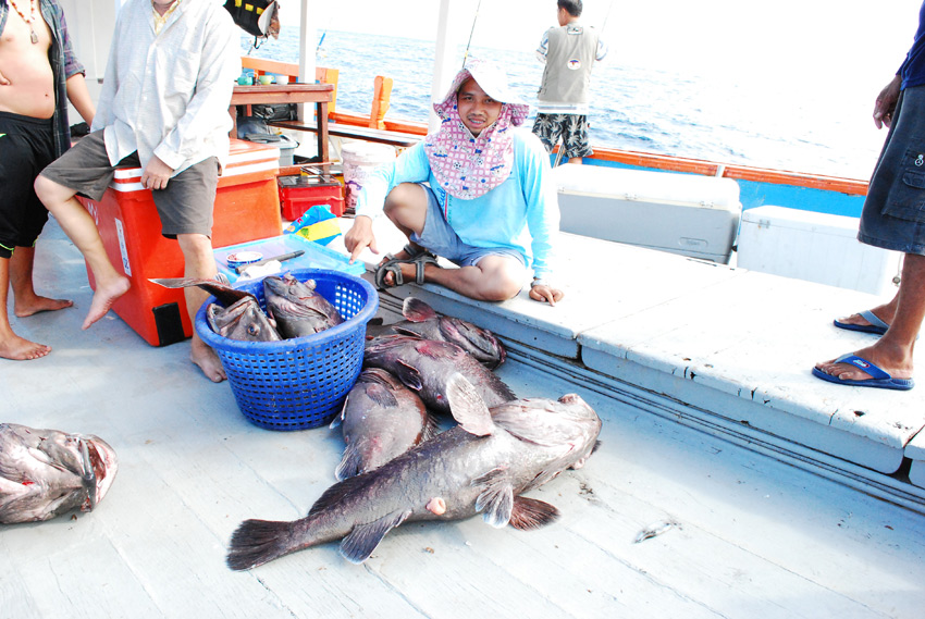 เนื่องจาก ชุลมุนมาก ปลากินทุกคันท้ายเรือ 

กินจาก พี่ต้อย ผม เฮียหน่อย สามคันท้ายเรือ 

สักพัก ก