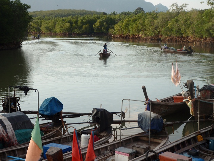  :grin:บริเวณท่าเรือคึกคักเลย วันนี้ ออกตกปลากันเยอะ  ช่วงนี้น้ำกำลังเดิน ที่แล้วๆมา ปลาจะกิน ช่วงนี