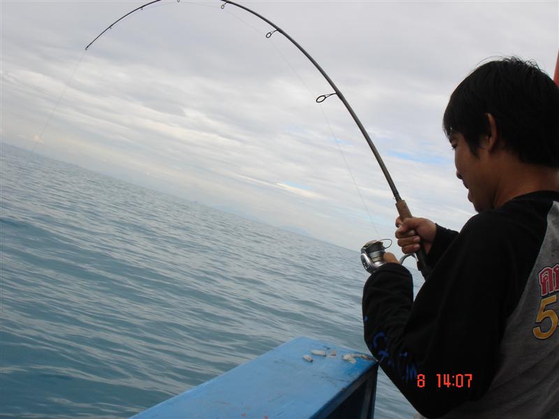 ก่อนเข้าฝั่ง......ตกปลาเล็กอยู่.......ผิดคิว.....ครับ....คันเวท 10-20 Rapala HM55 + รอก BIO C3000 PE