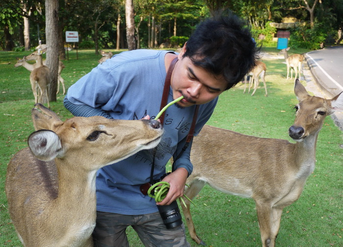 มันต้องป้อนกันแบบนี่ถึงจะเรียกว่ารักสัตว์