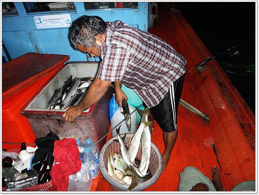  [b]ปลาล๊อตแรก โดนบังหลี พาไปจัดระเบียบในลังแช่ปลาใต้ห้องเรือด้านหลัง

"6 เข่งหว่าครับ ช่างบิว" 