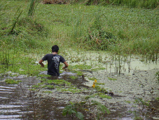 อ้าวน้องเต้..ทำไรง่ะ.. :laughing: :laughing: :laughing: :cheer: :cheer: :cheer: