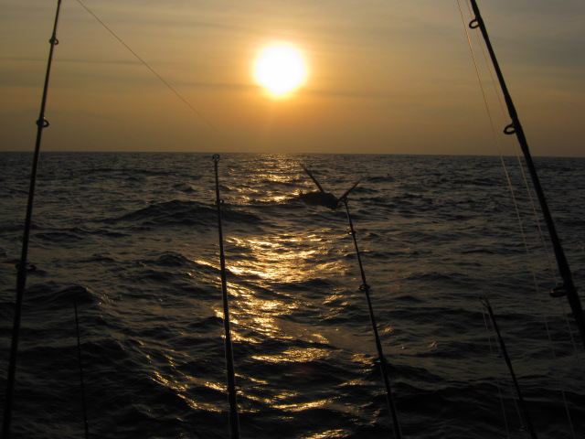 ....พระอาทิตย์ของวันที่สามของการตกปลา..กำลังจะลาลับครับ....
....ผมเหลือบไปเห็นเหยื่อปลาบินที่ใช้ตกห