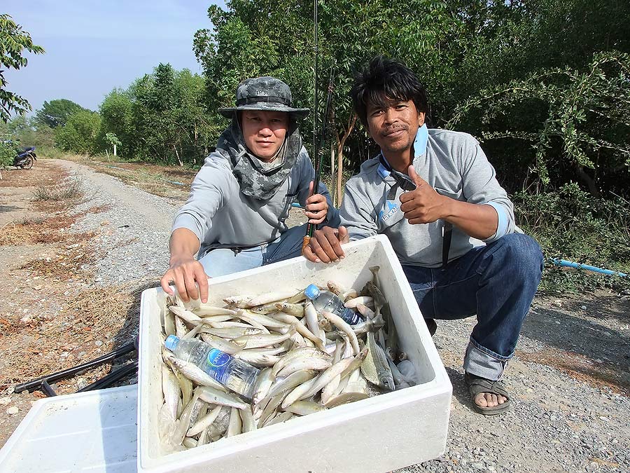 [b]นี่ไงครับ เจ้าของผลงาน ตกกันสองคนครับ น้าศิวะปลายาง กับ น้าวุฒิ ครับ อิอิ[/b]
:cool: :cool: :coo