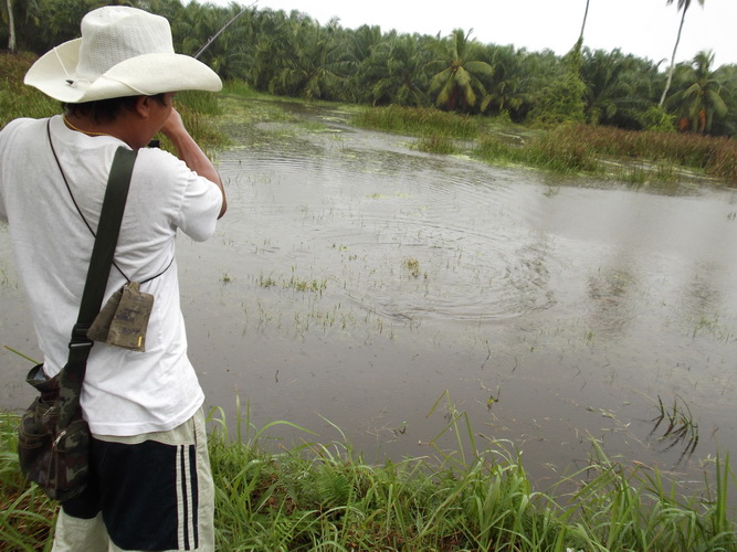 ตัวนี้มาพร้อมกับฝนเลยครับ...เร็วน้าสามฝนตกแล้ว... :mad: