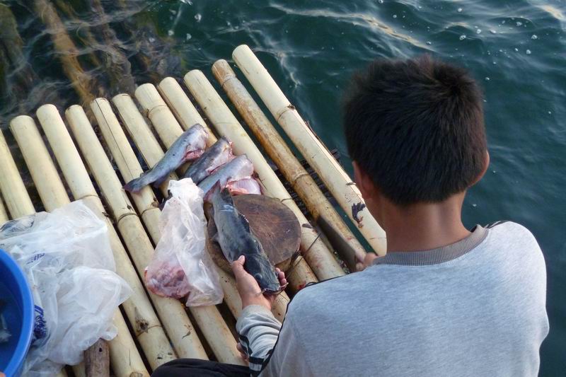อุ้ยมีปลากดกินด้วย ทำไงได้ละครับตกปลาไม่ได้ไม่ใช่ปัญหาโทรกริ้งเดียวมีปลามาส่งถึงที่ แถมมีคนมาทำให้อี