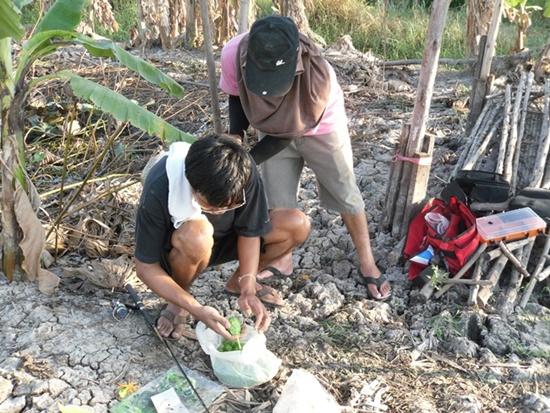 ไม่รู้ว่าสูตรไหนของมันปลาไม่กินซักตัว