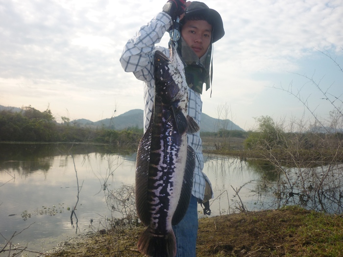 [q][i]อ้างถึง: wisoot2499 posted: 14-01-2555, 19:54:53[/i]

[q][i]อ้างถึง: kongfishing posted: 14-