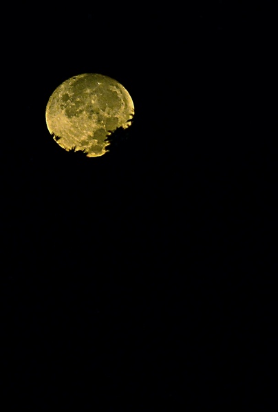 ใกล้จะเช้าแล้วคับเห็นพระจันทร์สวยเลยถ่ายรูปพระจันทร์บึงสำราณมาฝากคับ :grin: