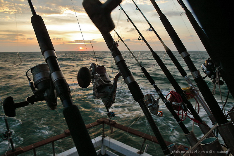 ในที่สุดการแล่นเรือโต้คลื่นจากเกาะสุรินทร์ตั้งแต่ 7 โมงเช้าเรามาเห็นฝั่งระนองเอาช่วงเย็นๆตะวันจวนตกแ