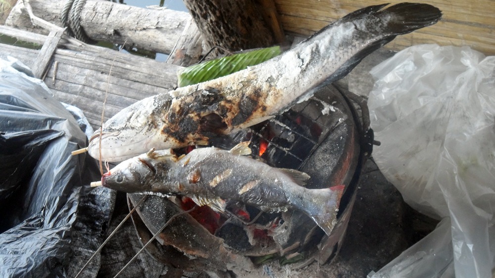 อาหารมือเที่ยง ปลากด+ปลาช่อนเผาเกลือ :umh: