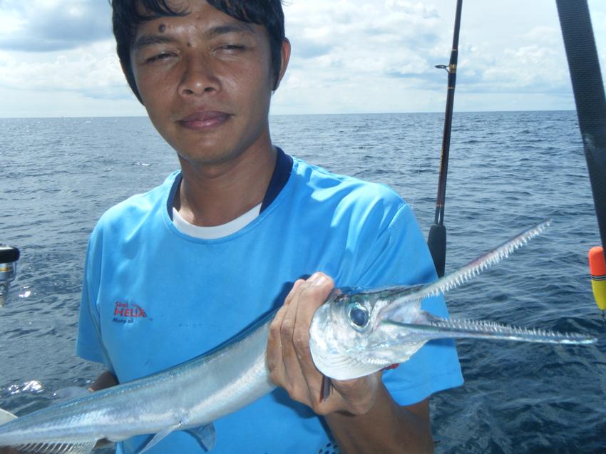 [q][i]อ้างถึง: jiv-k-pong posted: 24-01-2555, 23:42:01[/i]

+++ตามชมมาเฟียด้วยคน มีปลามั๊ยครับ  
