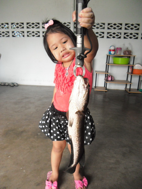 [q][i]อ้างถึง: NatKatumban posted: 30-01-2555, 10:49:59[/i]

หนูเอาตัวนี้นะพ่อเอามันทอดน้ำปลาเลยนะ