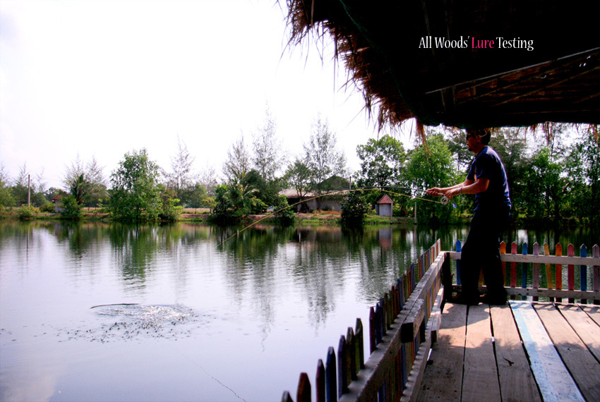 กุ้ง fly ที่ผมทำเอง ปลาก็กัดเหมือนกันนะครับ อ. โอ๊ต  :love: