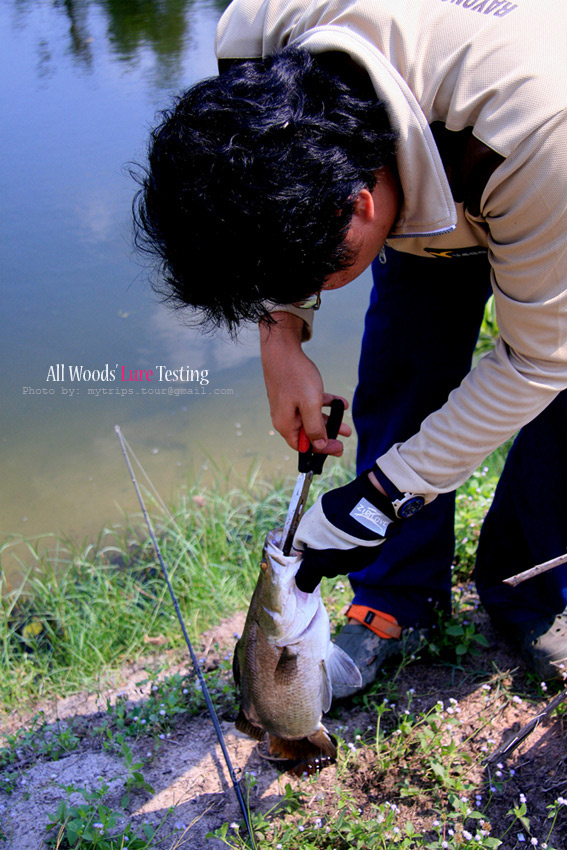 ไม่ต้องรีบครับจารย์ ก้มๆ เงยๆ กันต่อไป ผมรอถ่ายภาพให้จารย์ได้ครับ  :laughing: