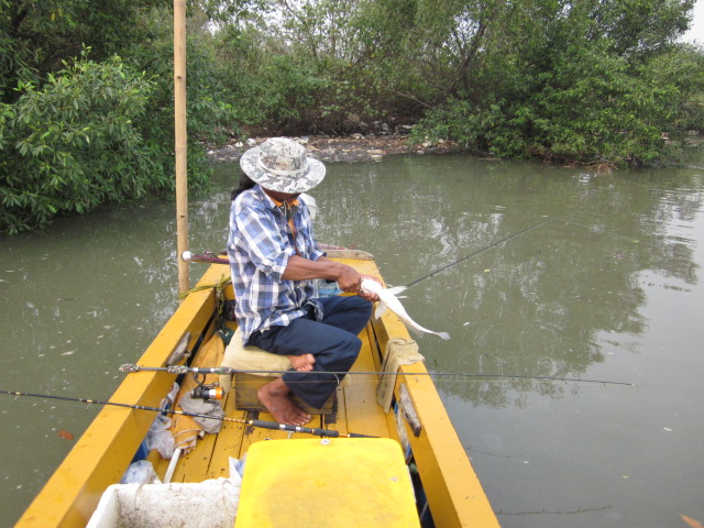 ท้ายเรือไต๋จงตกปลาหางกิ่วได้ :cheer: :cheer: :cheer: