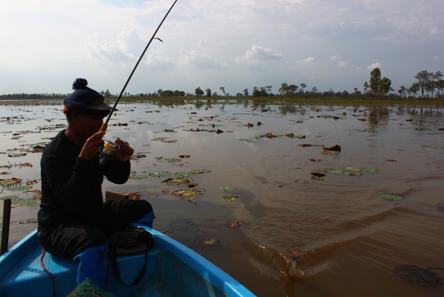 มาถึงเรือและ  มันดิ้นมั๊ยพ่อใหญ่หรือมันช็อคแล้วอะ  :laughing: :laughing: :laughing: