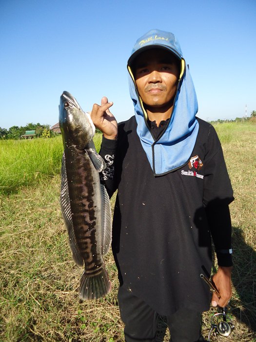 อาลัย..แด่ คันสปิน ABU Duke หัก 3 ท่อน ของนายตี๋  :cry: :cry: :cry:
เพื่อแลก กับ ความมันส์ ในการตีเ