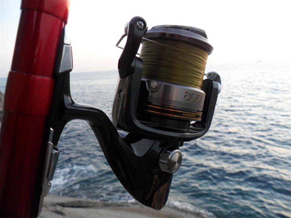 Reel : Shimano Biomaster XTB 8000
Rod : Shimano Surf Leader FV 450 Cxt

 :cheer: :cheer: :cheer: 