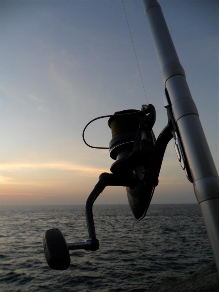 Reel : Shimano Ultregra 5500 surf 