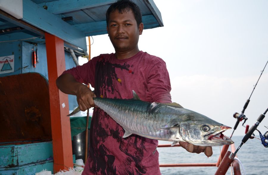 อินทรีย์ตัวนี้ได้ก่อนเราจะกลับกันครับนำแสดงโดยบังเอ...................หาดใหญ่ฟิชชิ่ง สปอร์ต เเล้วเรา