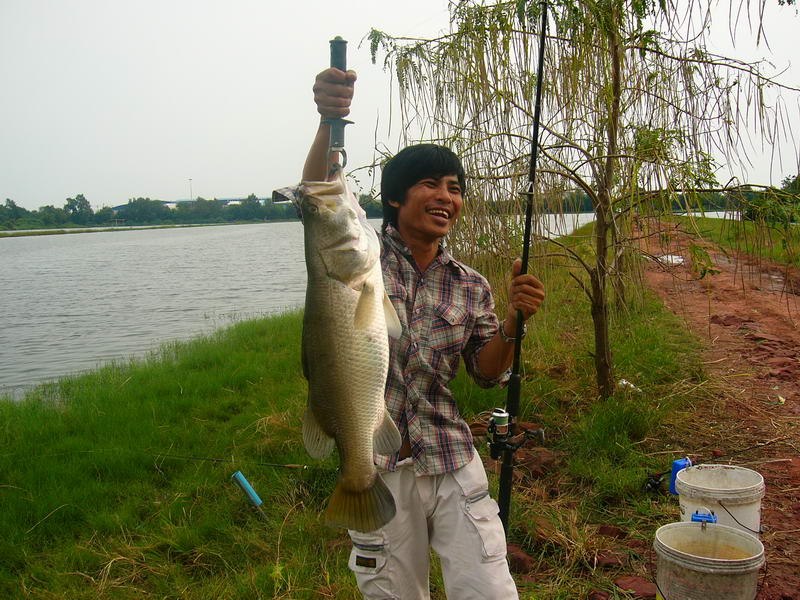 อุ้ย...ลงภาพซ้ำ ต้องภาพนี้ เบลอแล้วเหรอเนี่ย สงสัย...