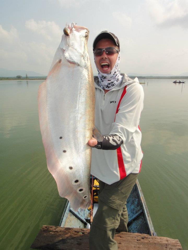 Wild Featherback&Giant Snakehead