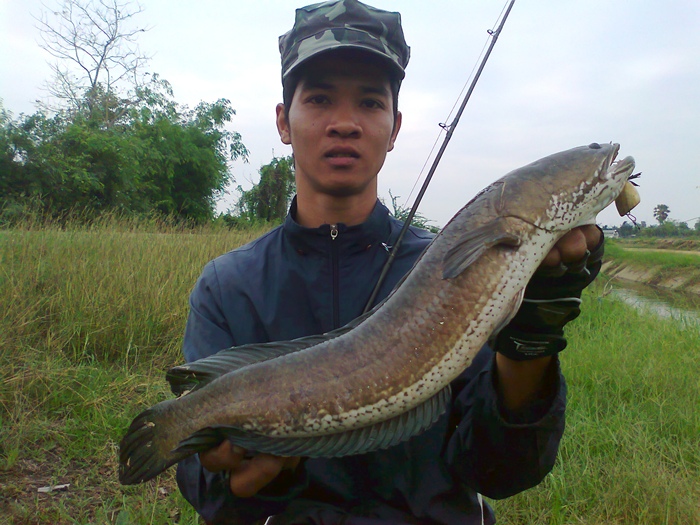 [q][i]อ้างถึง: icu posted: 22-02-2555, 23:04:20[/i]

ติดตามผลงานน้าkongfishing  ไม่เคยทำให้ผิดหวัง