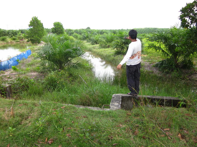 

ทริปนี้ขอลากันกับเบื้องหลังโปรเชษฐ์............(โปรดสังเกตุ กางเกงโปรเชษฐ์.....เปลี่ยนเป็นขายาวแ