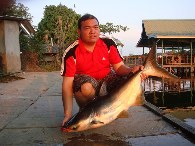 ผลงานของรองประธานแกงค์ตบเด็กครับ 1 หล่อ