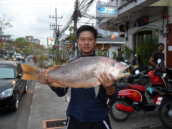 ไม่พอใจอยุในเรือ เมานอนอย่างเด่ว ^^