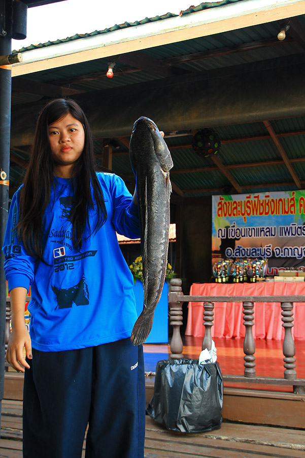  [b]+++ส่วนน้องสาวคนนี้  ตอนนี้ยังเป็นคนนำปลาชะโด นำ้หนักสูงสุดอยู่คร้าบบบ ที่ 4.3 กิโลกรัม[/b] :gri