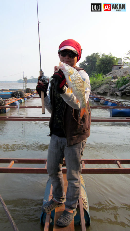 กระสูบ กัดกระจาย  Tide Minnow ครับ  ขนาดตีติดขอบ ตลิ่งมันยังกระโดด กัดเลย ขอบอก  :laughing: :laughin