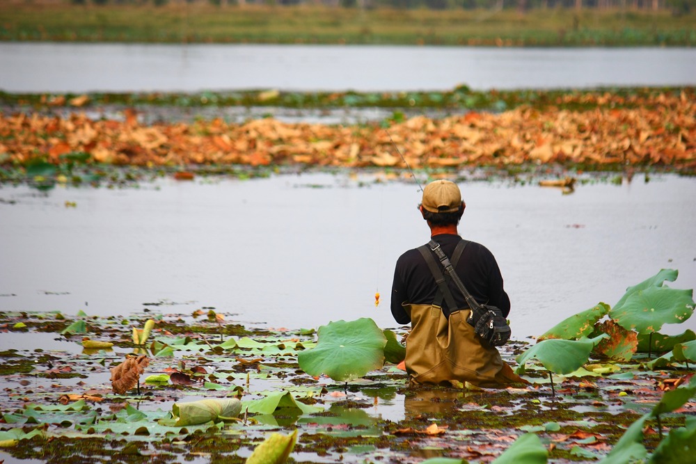 อยู่คนเดียวซะเด้อพ่อใหญ่....ขอลงเรือ