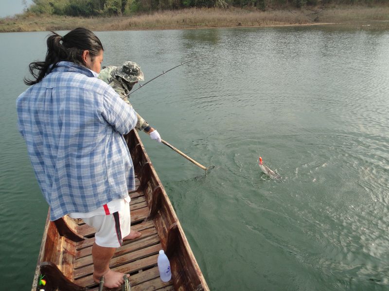 

                               [b]                         โปรน็อค  เสี่ยกุ้งเมืองจัน  ทำไรหว่า[