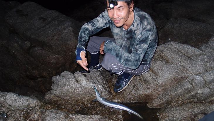 น้ากบจั่วขึ้นมาก่อนเลยปลาฟาล์วคาบสาย เสียดายสายจัง เป็นปลาชั้นดี หรือปลาประจำตัวน้าหนุ่ม(Mudchanu) ห
