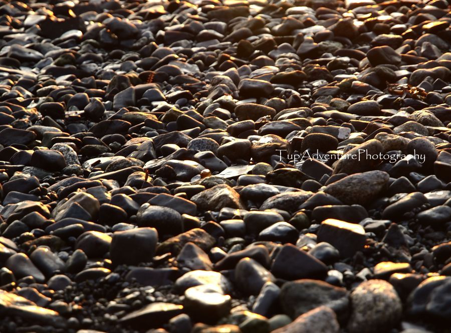 หินอย่างนี้เรียกว่า Pebble ตามหาดจะเต็มไปด้วยหินอย่างนี้ วาฬชอบมาถูไถ :cheer: :cheer: