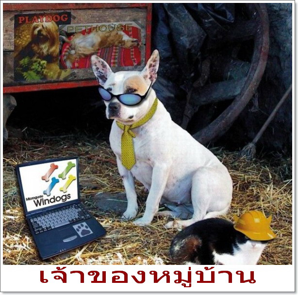 [q][i]อ้างถึง: กฤษณะชัย posted: 25-03-2555, 12:49:52[/i]

 :ohh: :grin: :grin: :grin: :grin: :grin